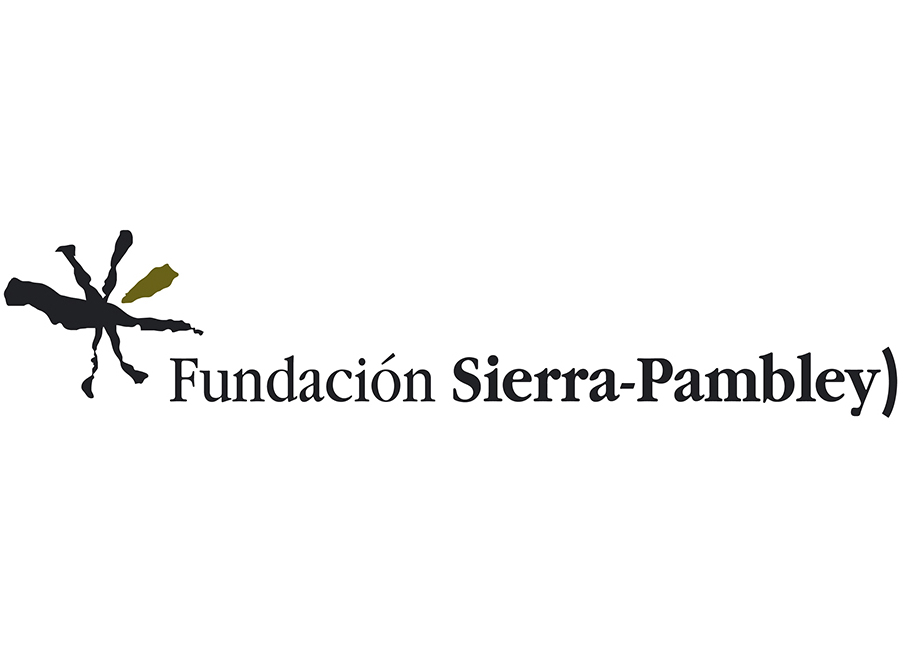 Fundación Sierra-Pambley. Logos y aplicaciones